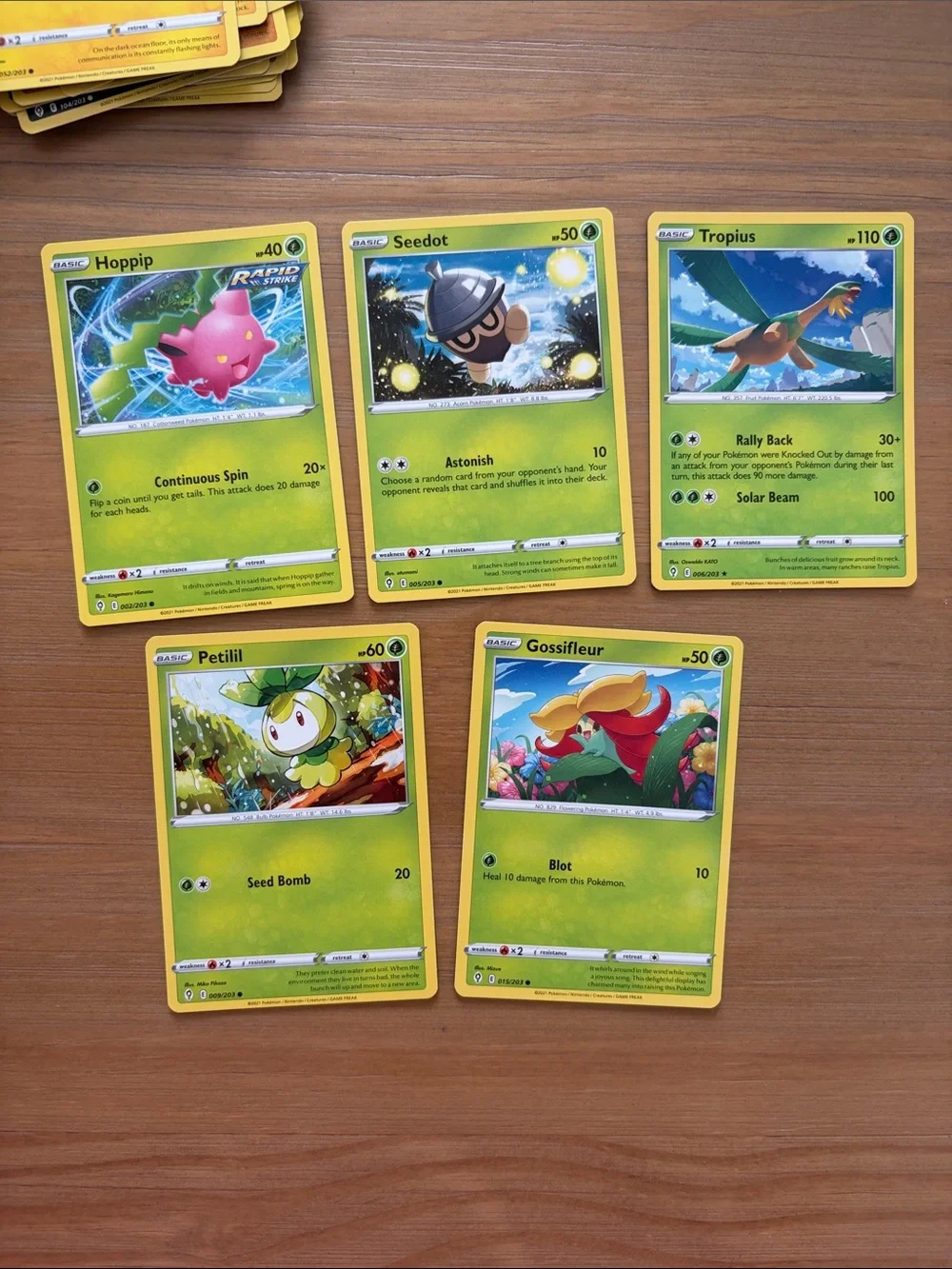 Evolving Skies Lot | 43 Unique Cards | Binder Starter Collection
